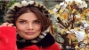 چهرۀ «عاطفه رضوی» ۲۷ ساله با چادرنماز؛ سال ۷۴