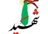 همسر فوتبالیست شهید به شهادت رسید + عکس